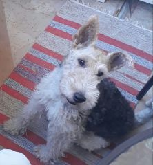 IMG 20170912 WA0000[1]