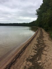 18.06.30 оз.Белое, Кургальский п-ов