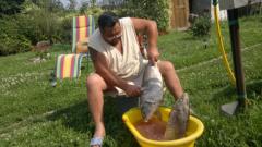 сазанчики на ужин