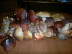 беленькие.... в основном