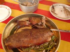 из не пойманого