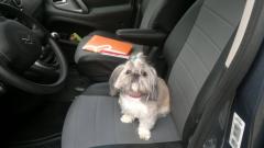 помытая побритая