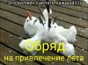 post-5131-0-22409500-1496511888_thumb.jpg