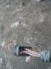 post-68613-0-54940300-1438231108_thumb.jpg