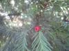post-23770-0-71045600-1314474543_thumb.jpg