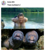 post-6473-0-03926800-1512497453_thumb.png