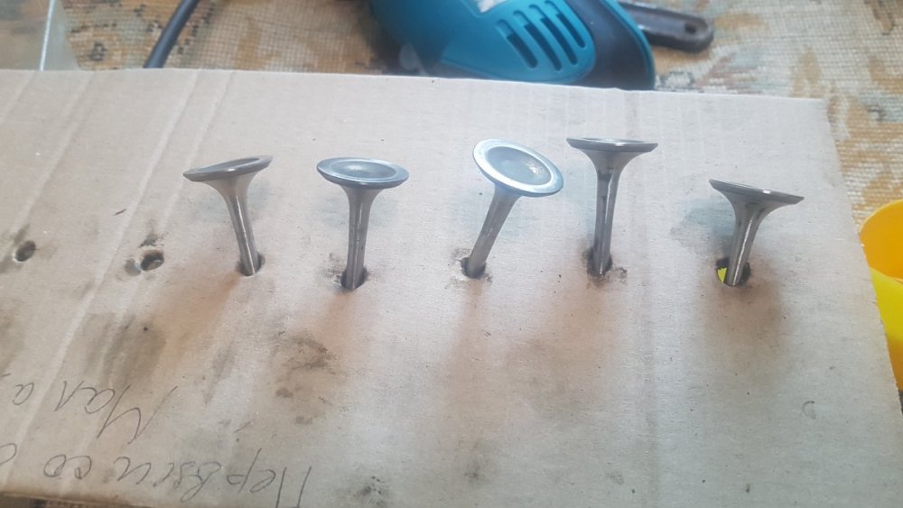 2019-02-23 09-51-00.JPG