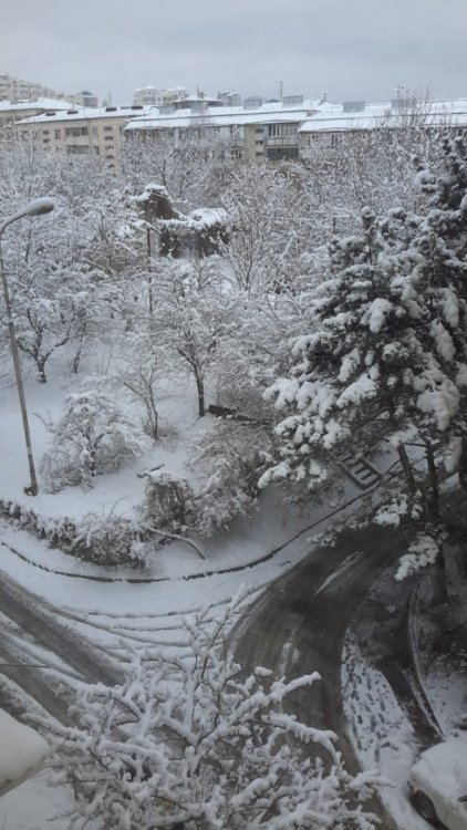 Зима в Кислых Водах.jpg