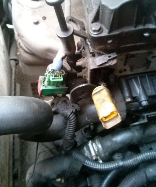 CAM02338 - копия.jpg