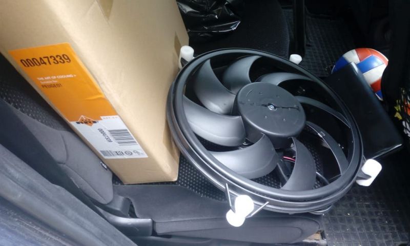 WhatsApp Image 2019-06-12 at 11.23.12.jpeg