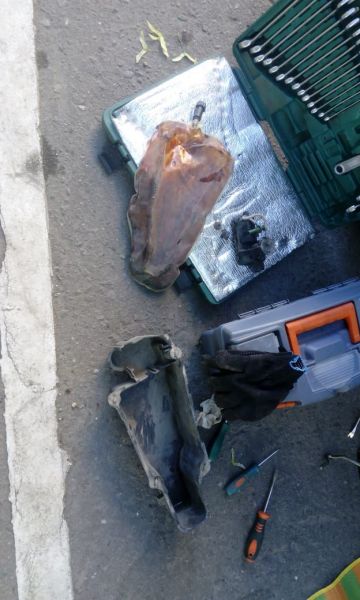 WhatsApp Image 2019-06-04 at 19.49.45.jpeg