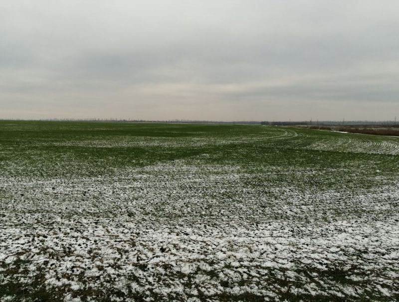 2019-11-02 10-50-34.JPG