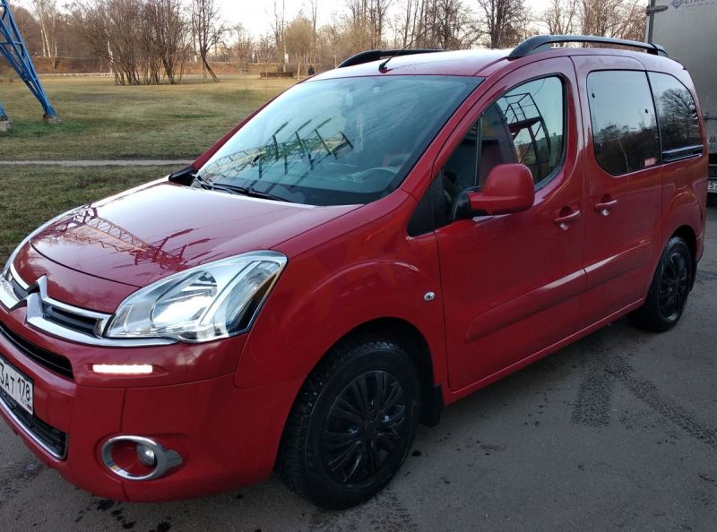 Чистый Бегемот.jpg