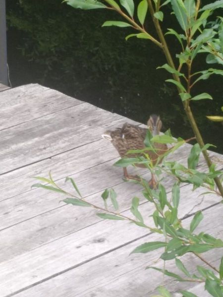 WhatsApp Image 2020-07-14 at 10.03.08.jpeg