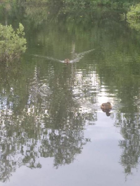 WhatsApp Image 2020-07-14 at 10.03.08 (1).jpeg