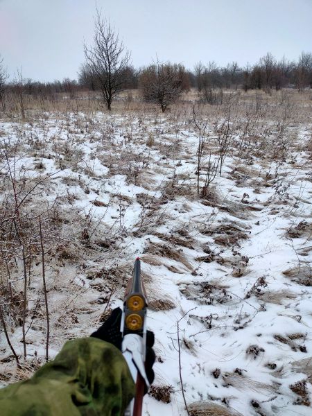 2020-12-19 12-04-41.JPG