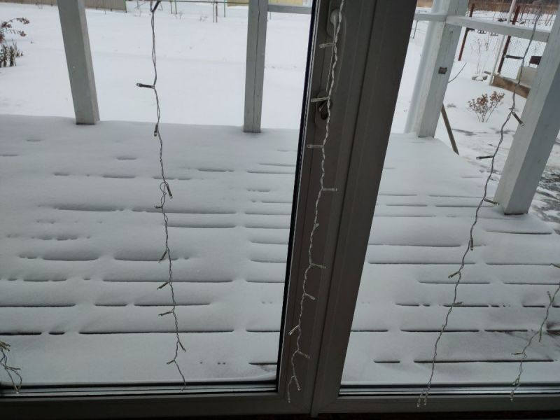 2021-02-10 10-29-54.JPG