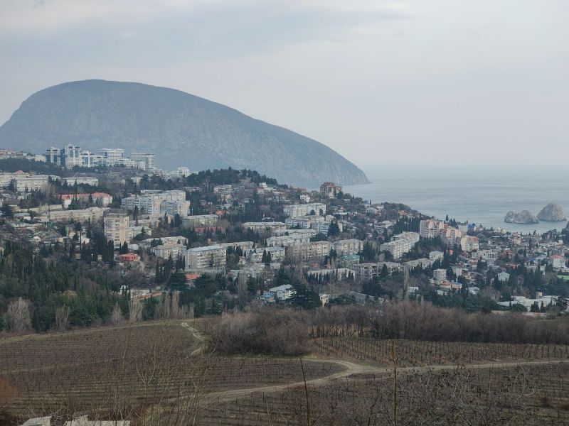 2021-03-06 13-34-44.JPG