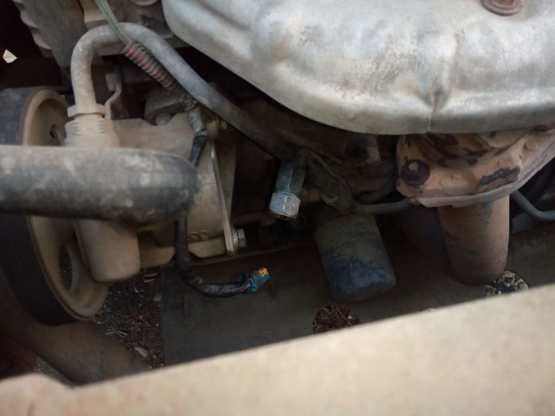 P10427-182240 донинвест.jpg