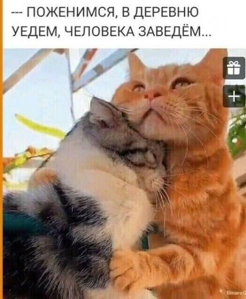 22253087_.thumb.jpg.e4f9c3875a3cd7308e3558eda81f5167.jpg