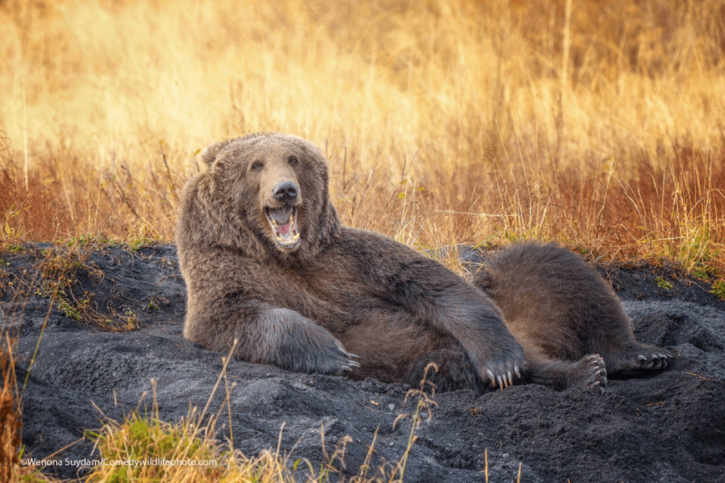 5A6358A2-E744-4E7D-B978-FEEFF9CC6A83.png