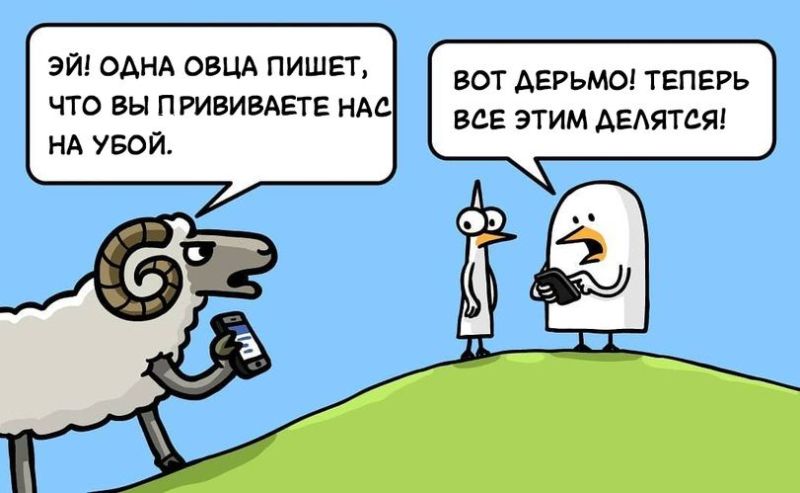 На прививку.jpg