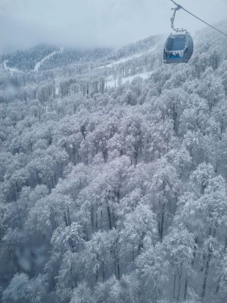 2021-12-19 12-44-25.JPG