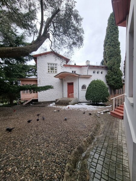 2022-03-16 13-58-03.JPG