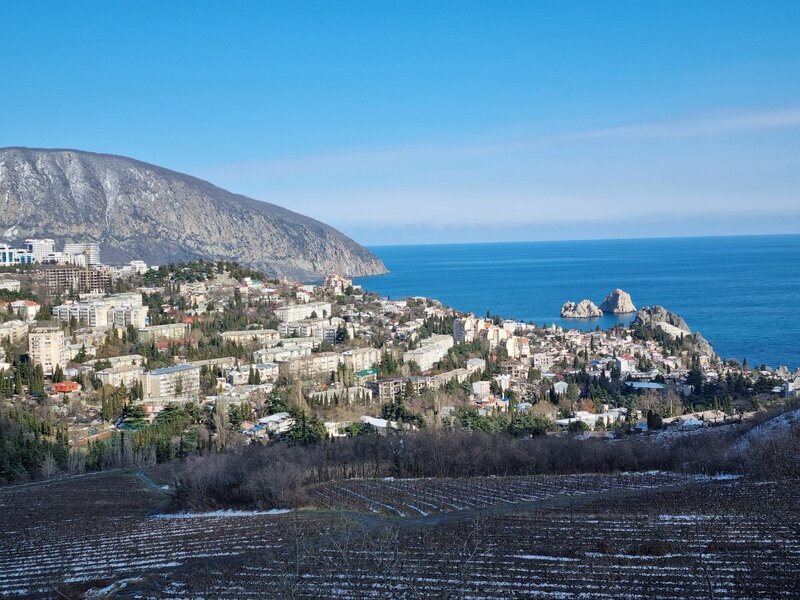 2022-03-13 15-18-28.JPG