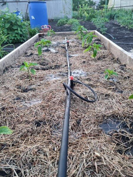 2022-06-14 20-47-22.JPG