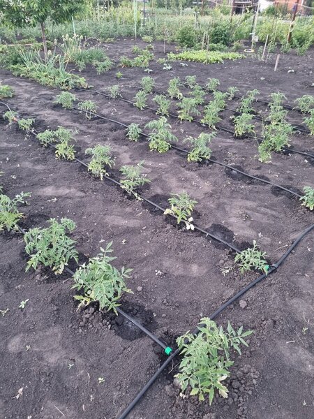 2022-06-14 20-47-32.JPG