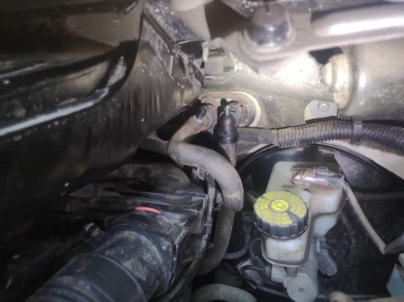 WhatsApp Image 2022-07-21 at 18.26.58.jpeg