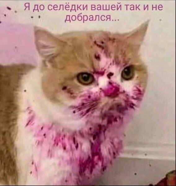 60d0e63c0d36.thumb.jpg.1e3a2e3ff5340072cc67a859806847e3.jpg