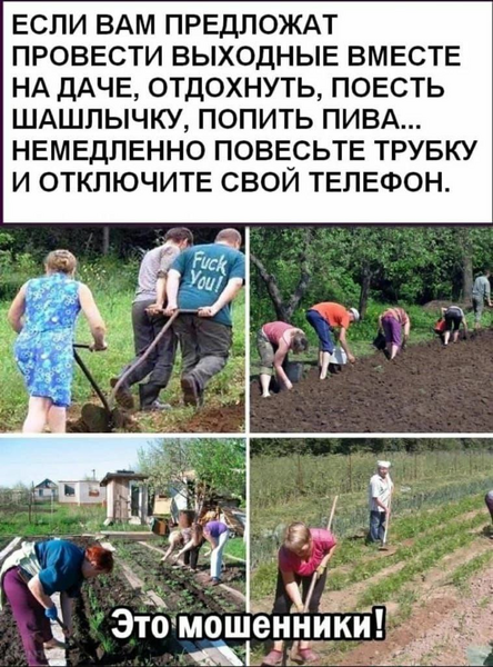 image.thumb.png.6742d183902fe25043dc5ce94895c79d.png