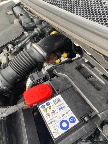 WhatsApp Image 2023-05-09 at 19.24.36.jpeg