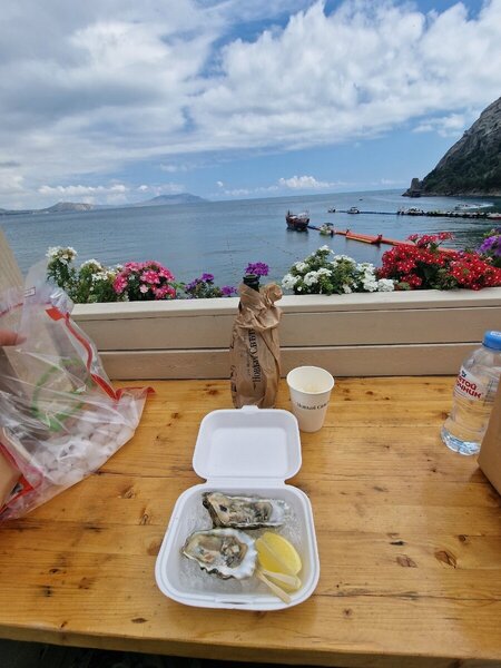 2023-06-11 13-43-02.JPG