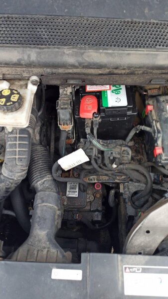 WhatsApp Image 2023-11-11 at 20.50.38 (1).jpeg