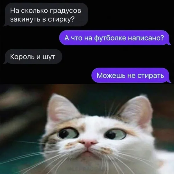 1723035809173026566.thumb.jpg.76637c29daae13c5f666bdf9be389977.jpg