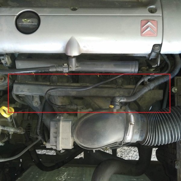 1759908810858 (Copy).jpg