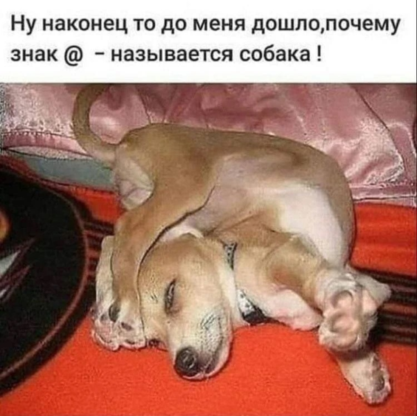 image.thumb.png.7ebbc4229afa6abb1d9aa59bfb96cde9.png
