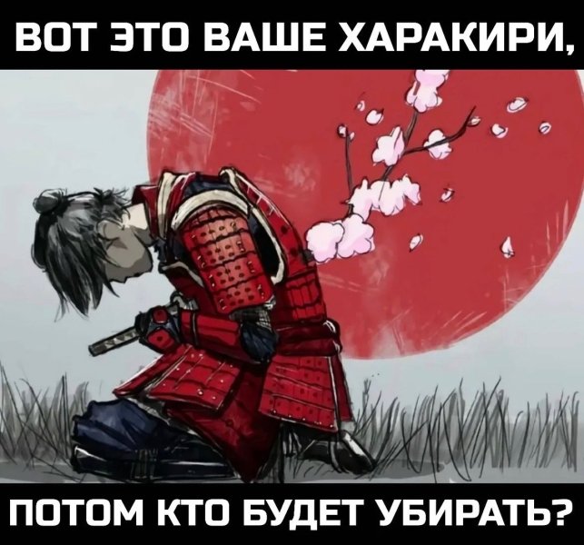 IMG_9487.jpeg