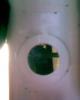 post-4399-1203856994_thumb.jpg